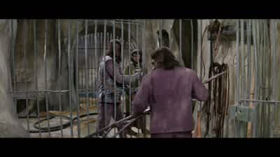 - Good morning, Dr. - Planet of the Apes