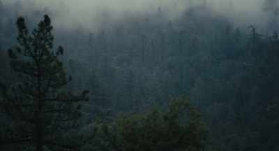 Good morning, rangers, - Lovely, Dark, and Deep