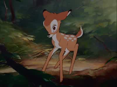 Good morning. - Bambi