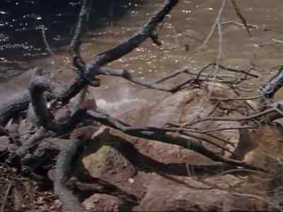 Good night, Charlie. - Buffalo Bill