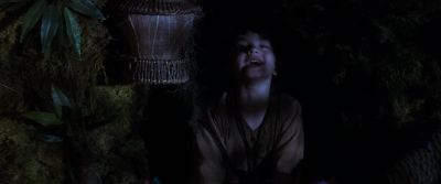 Good night Never Land - Hook