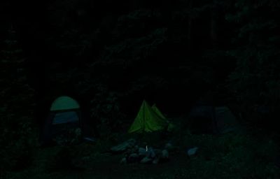 Good night Rick - The Tao of Steve