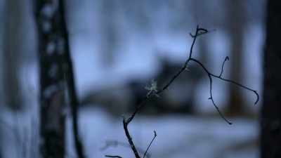 Good, nutritious food,
and that's just something
that I'm lacking. - Life Below Zero: Next Generation