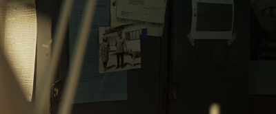 Good old-fashioned Blondi,
all died in the bunker. - Operation Napoleon