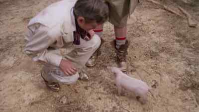 Good piggy. - Doc Savage: The Man of Bronze