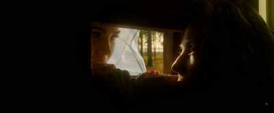 "Good pilgrim, you do wrong
your hand too much. - Box: Metaphor