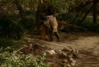 Good to see you again. - Dr. Quinn, Medicine Woman