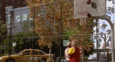 Good shot. - Along Came Polly