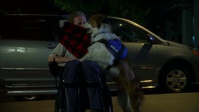 Good. Thank you. - House