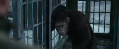 Good. Then we can talk about escape. - War for the Planet of the Apes