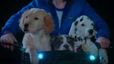 Good thing we saved Piper
from those ghost-nappers. - Phantom Pups