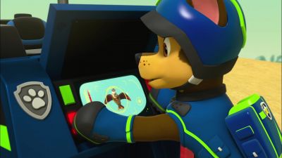 Good work, Chase. - PAW Patrol