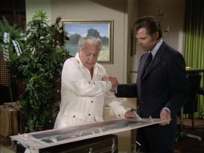 Good work. - Hawaii Five-O