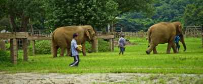 (Goodall): The important fact
that unless we work - The Last Tourist