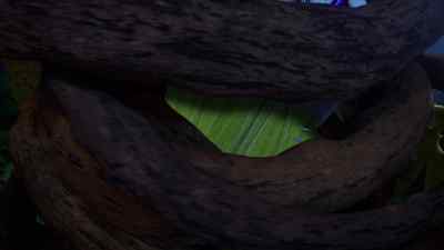 Goodbye, Kyle. - Kung Fu Panda: The Dragon Knight