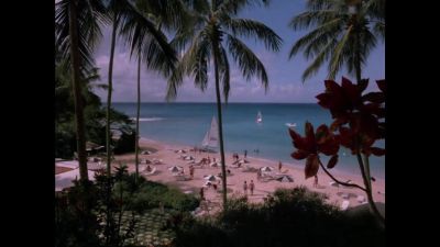 Gopher: Ladies and gentlemen,
welcome to Barbados, - The Love Boat