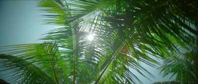 Gopi, - Kumbalangi Nights