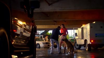 Got a little blood here. - CSI: Miami