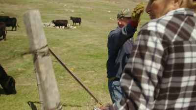 Got all the
calves in there, - The Dakota Entrapment Tapes