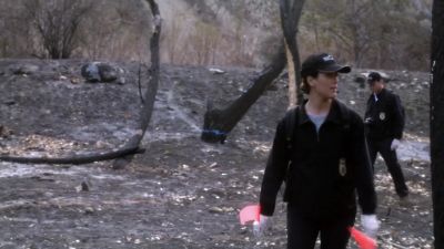 Got an arm over here. - NCIS
