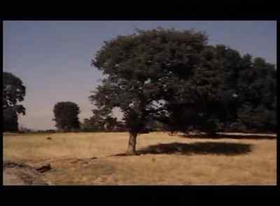 Got your flying boots on, Kemler? - A Gathering of Eagles