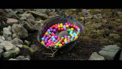 ? Got to go and play ? - Billy & Molly: An Otter Love Story