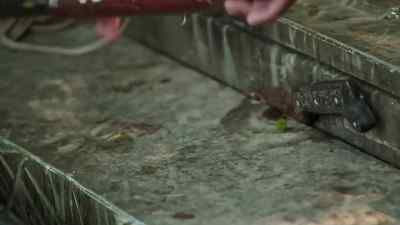           Got him, cuz.
     Come on.Yeah, get him. - Swamp People
