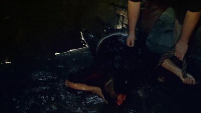 Got him! - Lost
