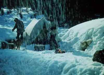 Got ice on your toes Buck?. - The Call of the Wild