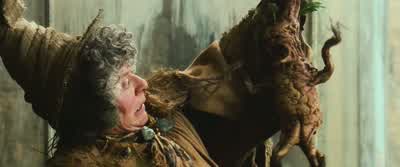 Got it? - Harry Potter and the Chamber of Secrets