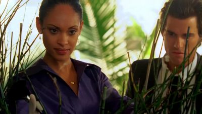 Got partial palm prints here. - CSI: Miami