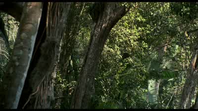 Got you, motherfucker. - Predator