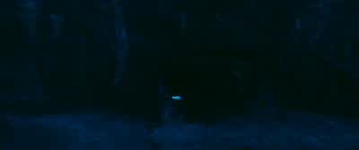 Gotcha! - It Chapter Two