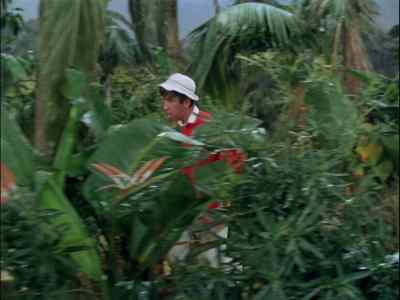 GOTTA KEEP RUNNING.
I'M EXHAUSTED. - Gilligan's Island