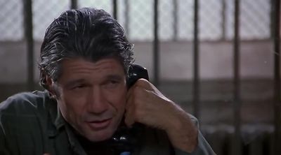 Government buildings - Naked Gun 33 1/3: The Final Insult