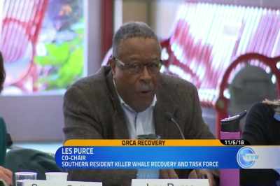 Governor Inslee
convened this task force - Artifishal