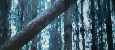 Grab him! Become a wolf!
Become a wolf, you... - Bhediya