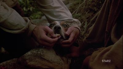 Gracie Whimpering - The Journey of August King