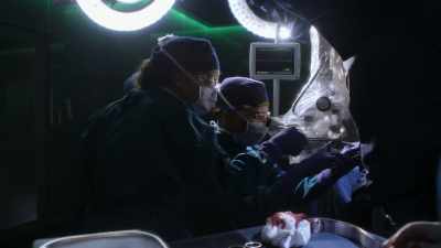 grafted-nerves-in-place-lets-see-it-will-conduct - The Good Doctor