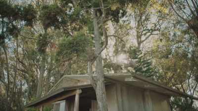 GRAHAM HART: You could think
about Ossipoff's architecture - The Cabin Chronicles