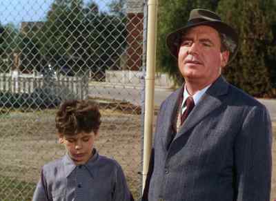 Gramp, I didn't
tell you about it, - The Boy with Green Hair