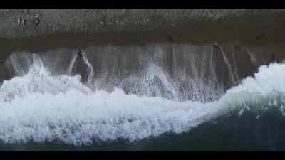 Grandma needs somewhere
to teach them in safety, - Our Oceans