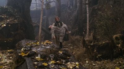 Grandmother Toad told me - The Brothers Grimm