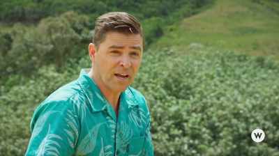 Granted, sometimes
it doesn't work out, - You Had Me at Aloha
