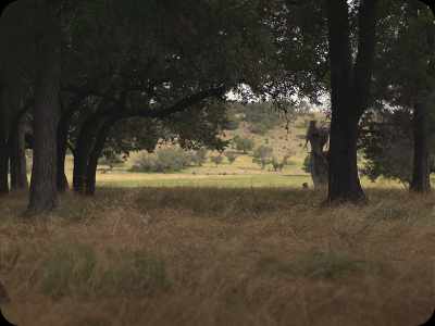 [grass rustling] - A Ghost Story