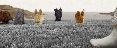 Grass, trees, swimming pool.
Cartoons on TV. - Isle of Dogs