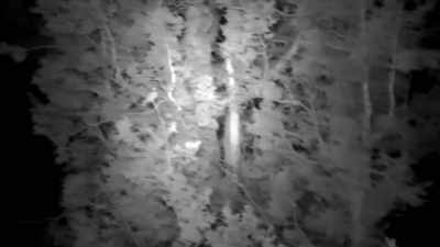 (gravel crunching sounds) - Horror in the High Desert