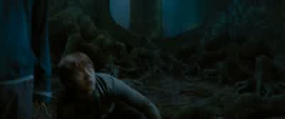 Grawp. Put me down. - Harry Potter and the Order of the Phoenix