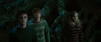 Grawpy. - Harry Potter and the Order of the Phoenix