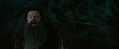 Grawpy. - Harry Potter and the Order of the Phoenix